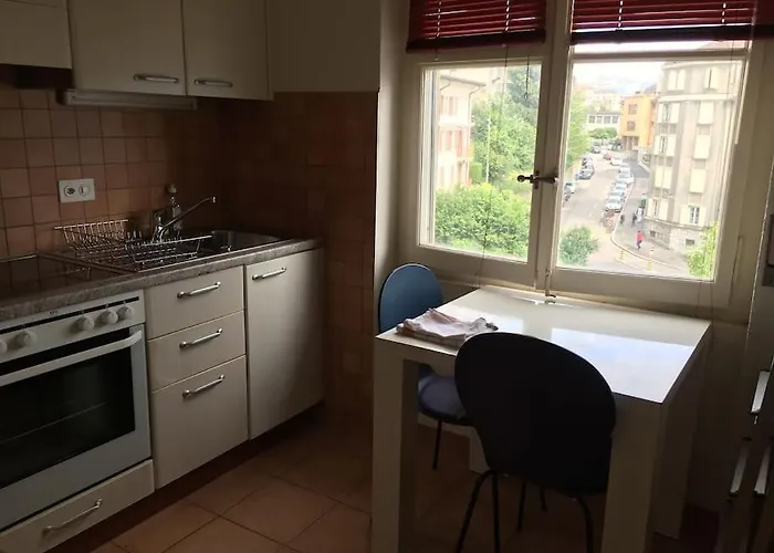 La Proximite Du Centre Avec Vue Sur Le Lac. * 洛桑